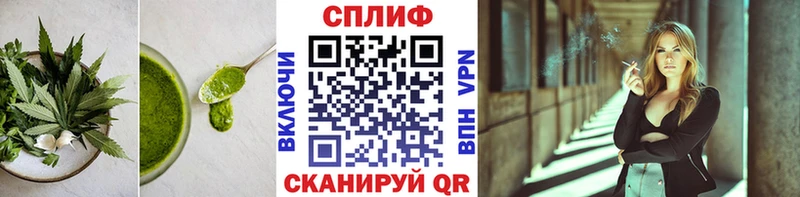 Купить закладки  Могоча  Cannafood марихуана 