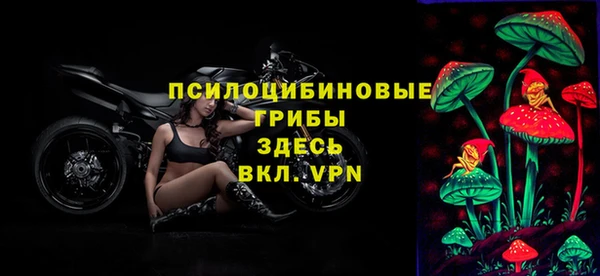не бодяженный Киренск