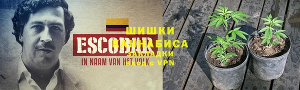 СК Кинешма