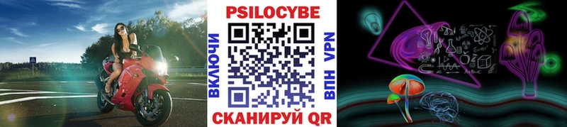 Купить Могоча Галлюциногенные грибы прущие грибы